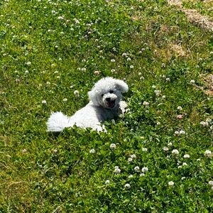 Meet your Posher, Lori